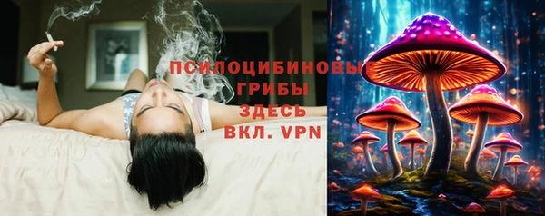 ешки Беломорск