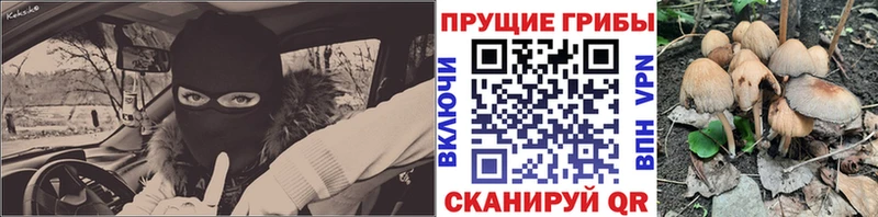 Купить где  Алексин  Галлюциногенные грибы прущие грибы 
