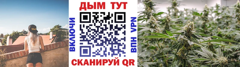 Марихуана сатива  Купить где  Алексин 